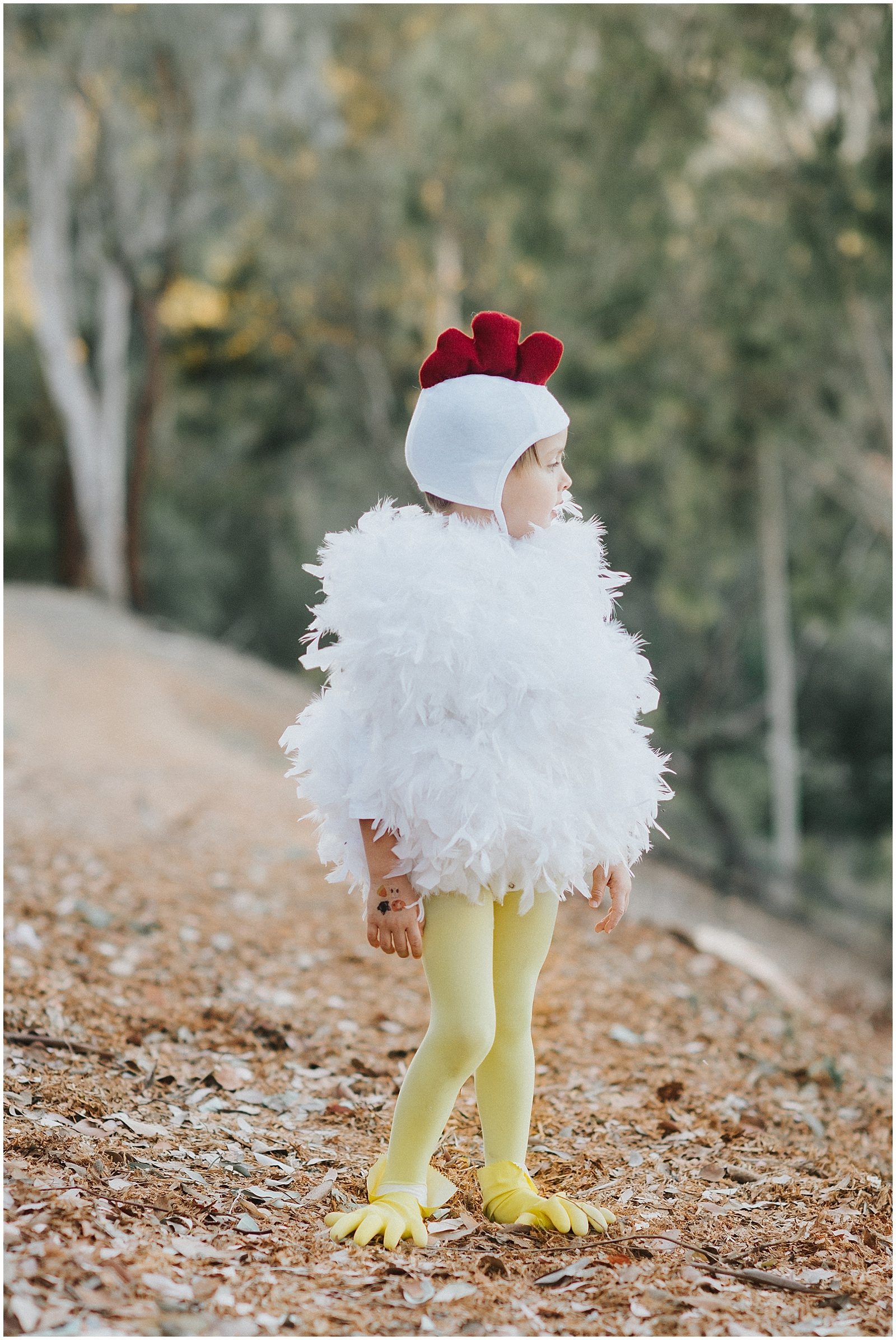Orange County Family Photographer Handmade Chicken Costume 0251
