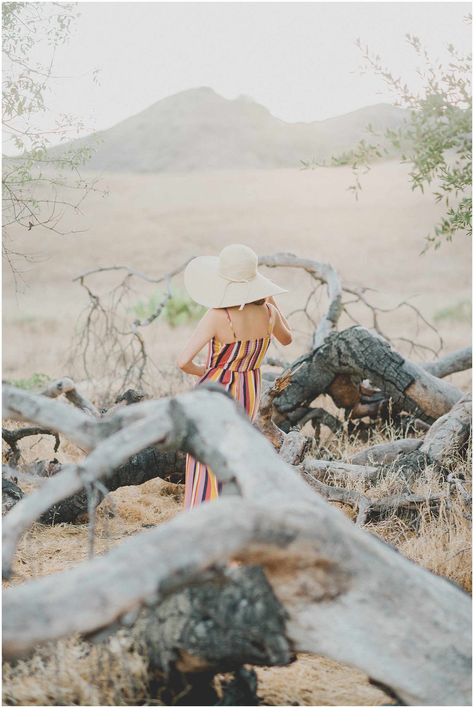 Orange County Family Photographer Sonja Hammad Photography 0106